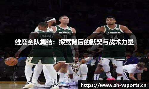 v体育官方网站